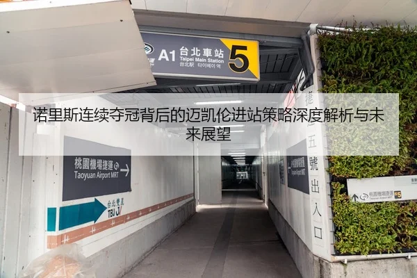 诺里斯连续夺冠背后的迈凯伦进站策略深度解析与未来展望