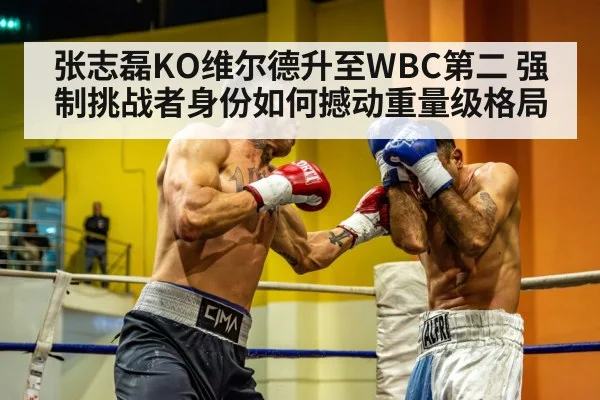 张志磊KO维尔德升至WBC第二 强制挑战者身份如何撼动重量级格局