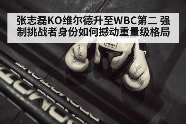 boxing ring gloves