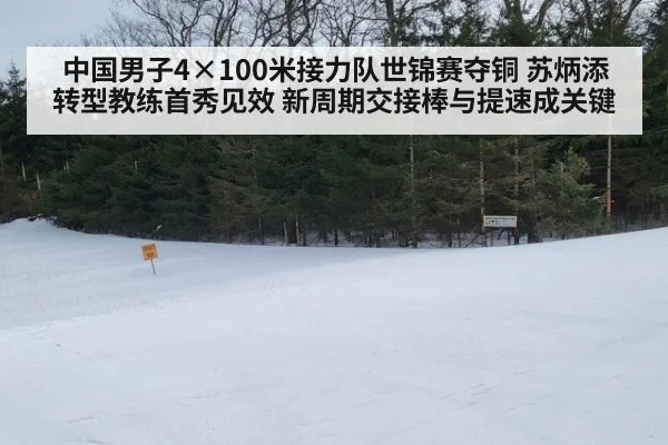 中国男子4×100米接力队世锦赛夺铜 苏炳添转型教练首秀见效 新周期交接棒与提速成关键