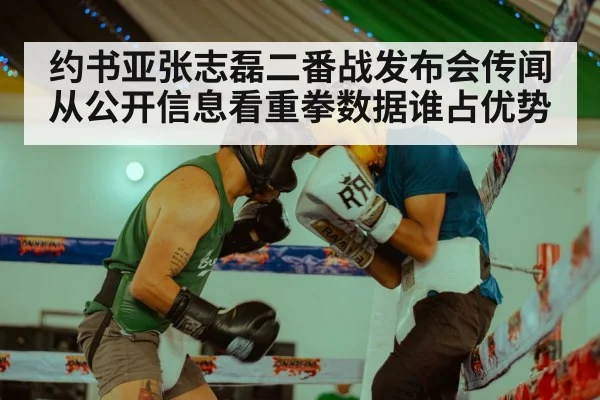 约书亚张志磊二番战发布会传闻 从公开信息看重拳数据谁占优势 | AGGaming