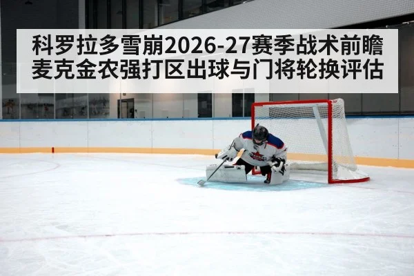 hockey goaltender crease save